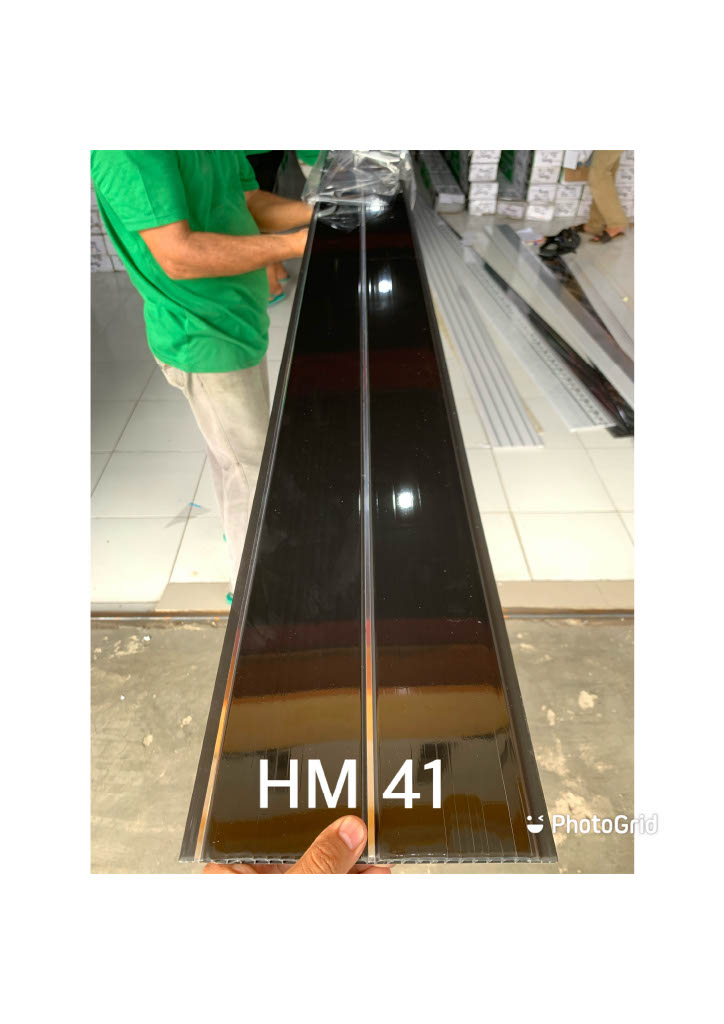 HM041